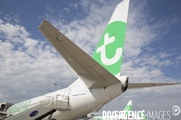 Les avions transavia sur le tarmac d orly