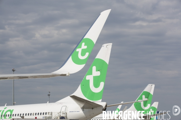 Les avions transavia sur le tarmac d orly