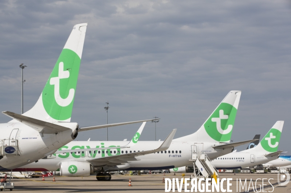 Les avions transavia sur le tarmac d orly