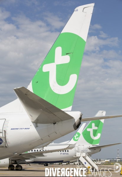 Les avions transavia sur le tarmac d orly