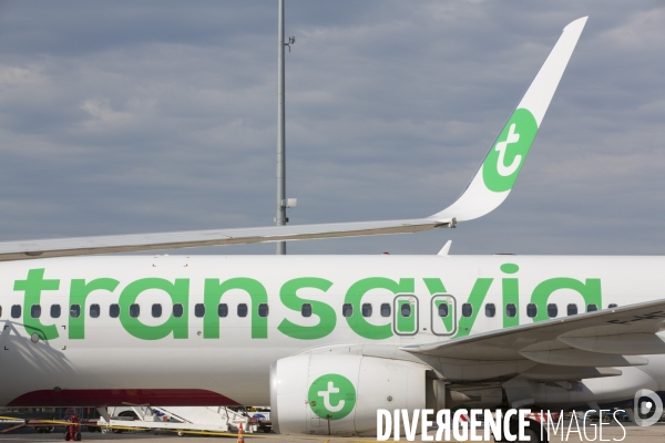 Les avions transavia sur le tarmac d orly