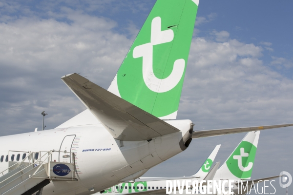 Les avions transavia sur le tarmac d orly