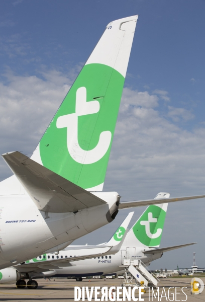 Les avions transavia sur le tarmac d orly