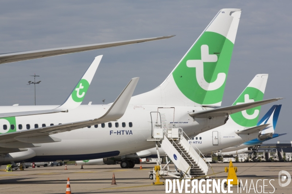 Les avions transavia sur le tarmac d orly