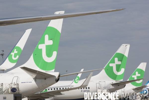 Les avions transavia sur le tarmac d orly