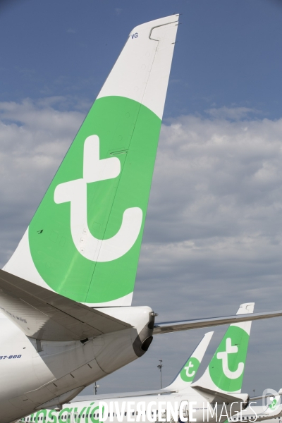 Les avions transavia sur le tarmac d orly