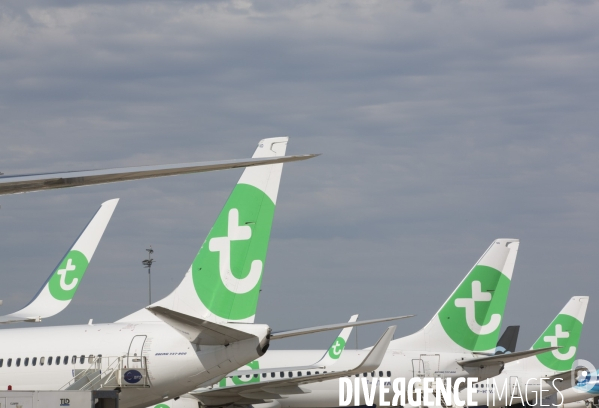 Les avions transavia sur le tarmac d orly