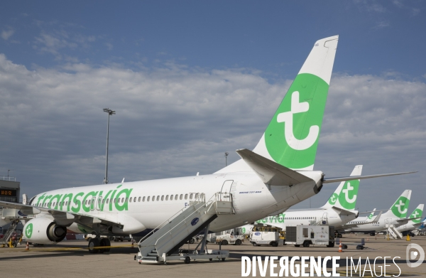 Les avions transavia sur le tarmac d orly