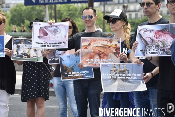 Cause animale : Action pour la Fin de la Peche. Animals rights.