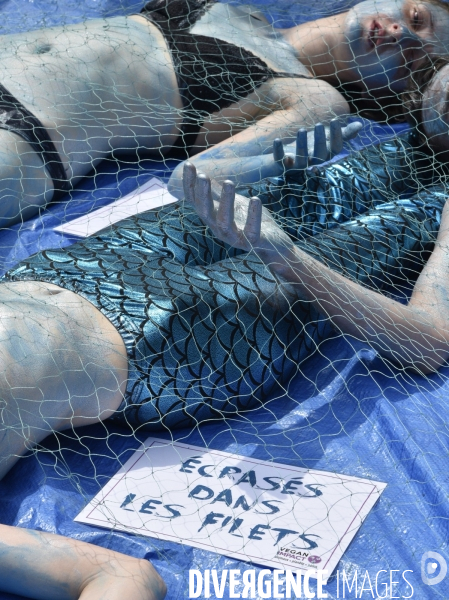 Cause animale : Action pour la Fin de la Peche. Animals rights.