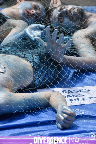 Cause animale : Action pour la Fin de la Peche. Animals rights.