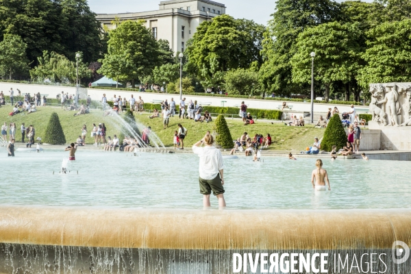 Canicule à Paris - Juin 2019