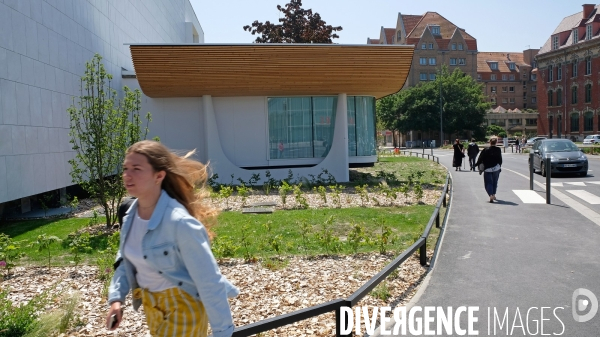 Transformation du Musée des Beaux-Arts de Dunkerque en bibliothèque