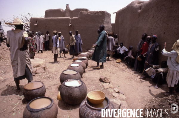 MALI : Univers secrets et sacrés du Pays DOGON.