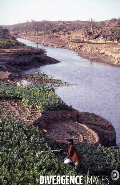 MALI : Univers secrets et sacrés du Pays DOGON.