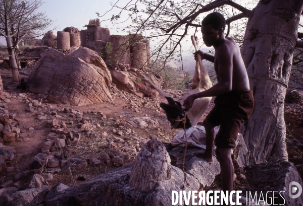 MALI : Univers secrets et sacrés du Pays DOGON.