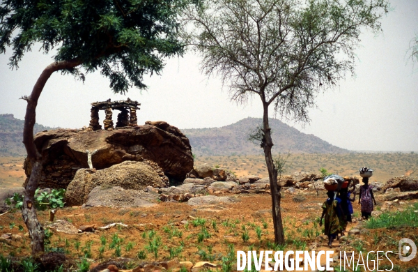 MALI : Univers secrets et sacrés du Pays DOGON.