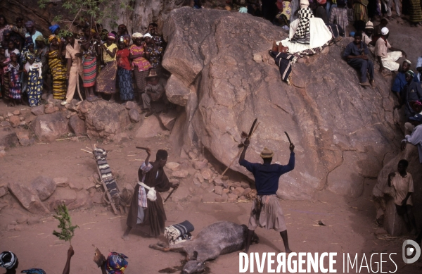 MALI : Univers secrets et sacrés du Pays DOGON.