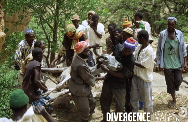 MALI : Univers secrets et sacrés du Pays DOGON.