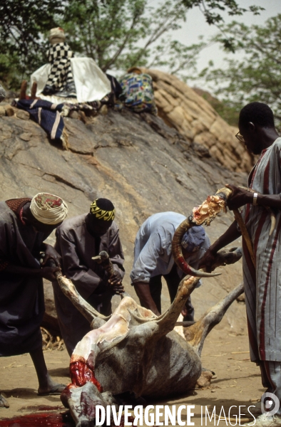 MALI : Univers secrets et sacrés du Pays DOGON.