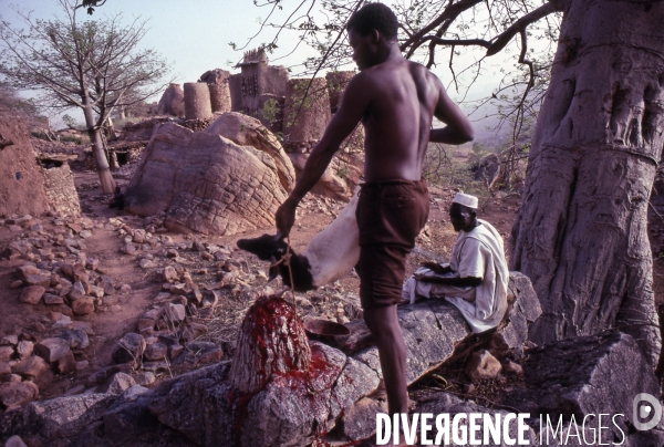 MALI : Univers secrets et sacrés du Pays DOGON.