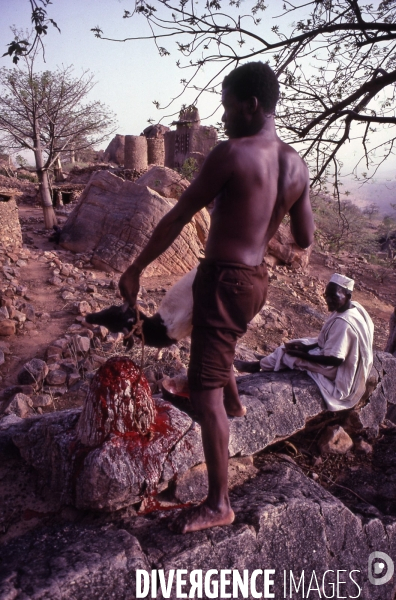 MALI : Univers secrets et sacrés du Pays DOGON.