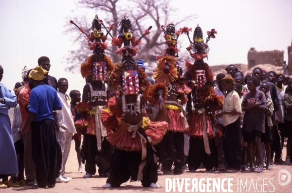 MALI : Univers secrets et sacrés du Pays DOGON.