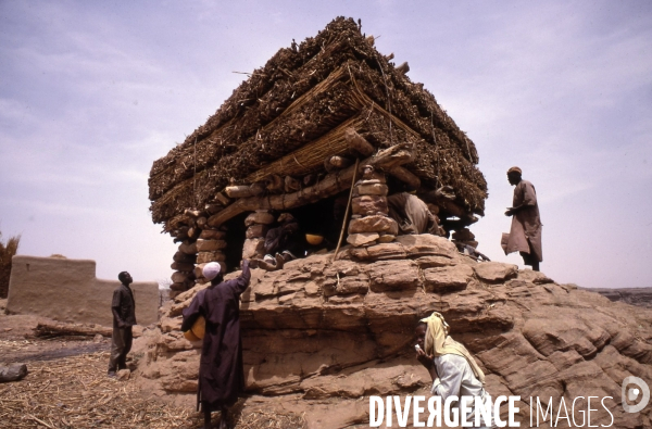 MALI : Univers secrets et sacrés du Pays DOGON.