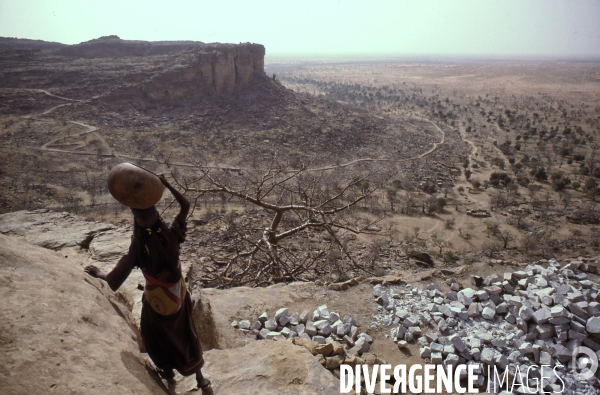 MALI : Univers secrets et sacrés du Pays DOGON.