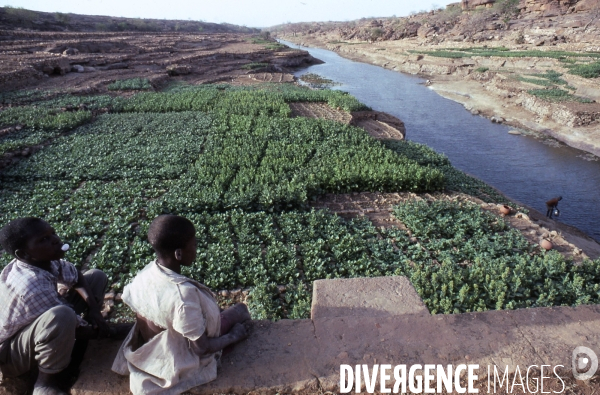 MALI : Univers secrets et sacrés du Pays DOGON.