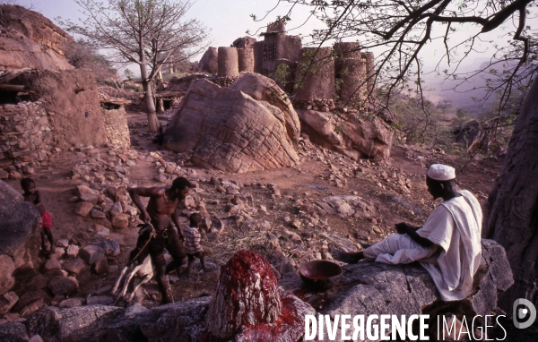 MALI : Univers secrets et sacrés du Pays DOGON.