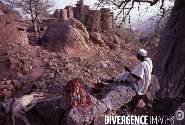 MALI : Univers secrets et sacrés du Pays DOGON.