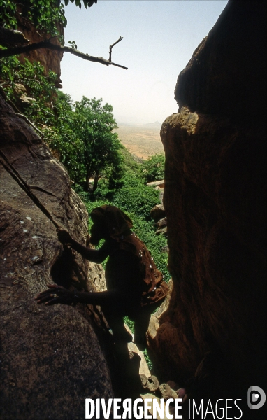 MALI : Univers secrets et sacrés du Pays DOGON.