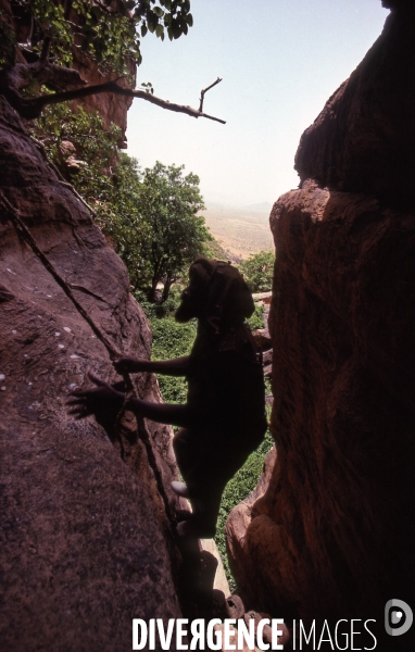 MALI : Univers secrets et sacrés du Pays DOGON.