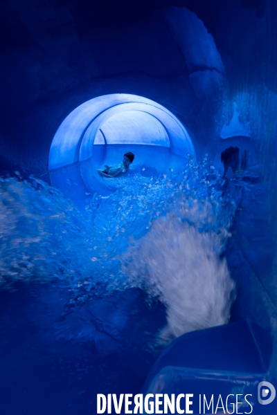 Un jour de canicule à la piscine écologique des murs à pêches de Montreuil.