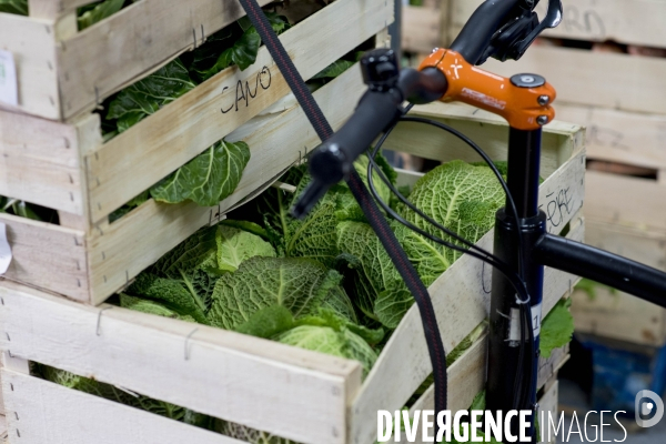 Olvo, coopérative de cyclo-logistique