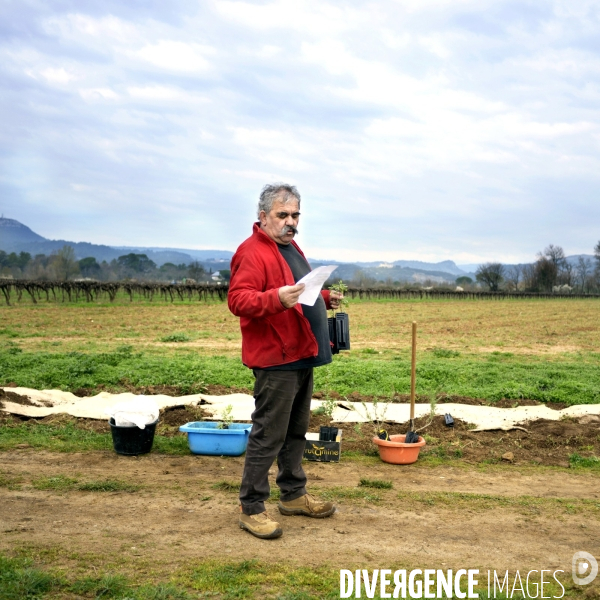 La vigne en biodynamie