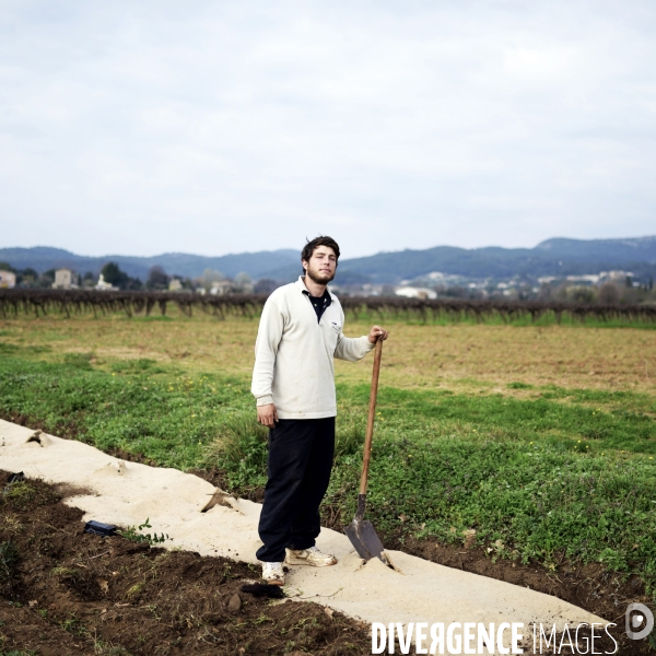 La vigne en biodynamie