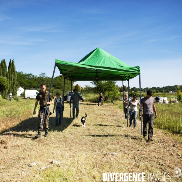 La vigne en biodynamie