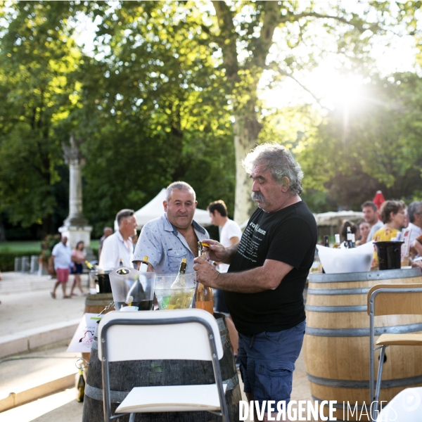 La vigne en biodynamie