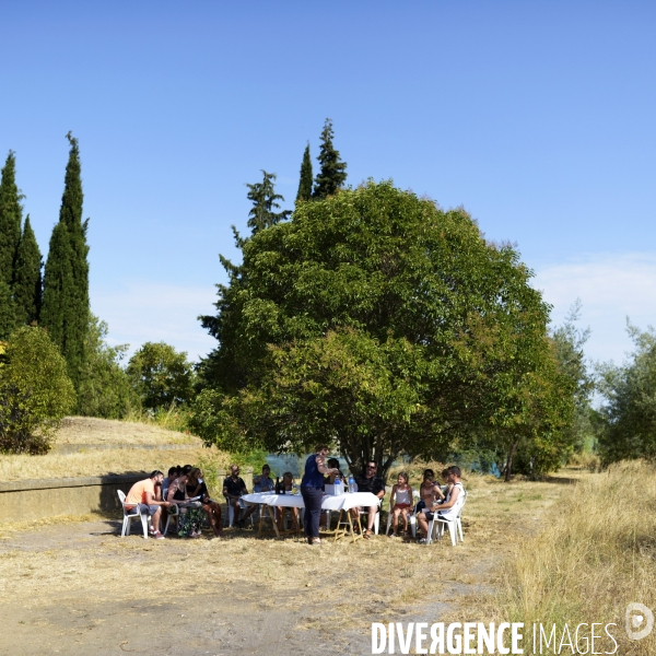 La vigne en biodynamie