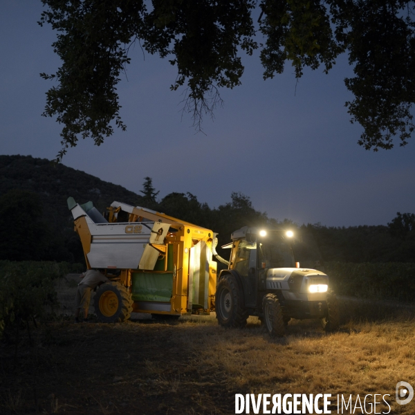 La vigne en biodynamie