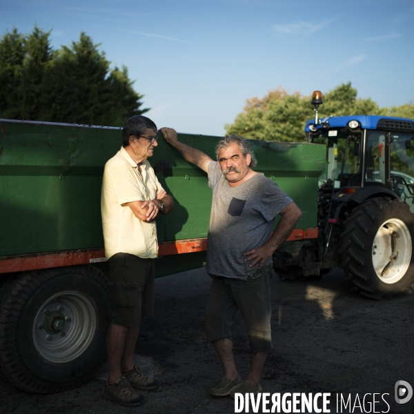 La vigne en biodynamie