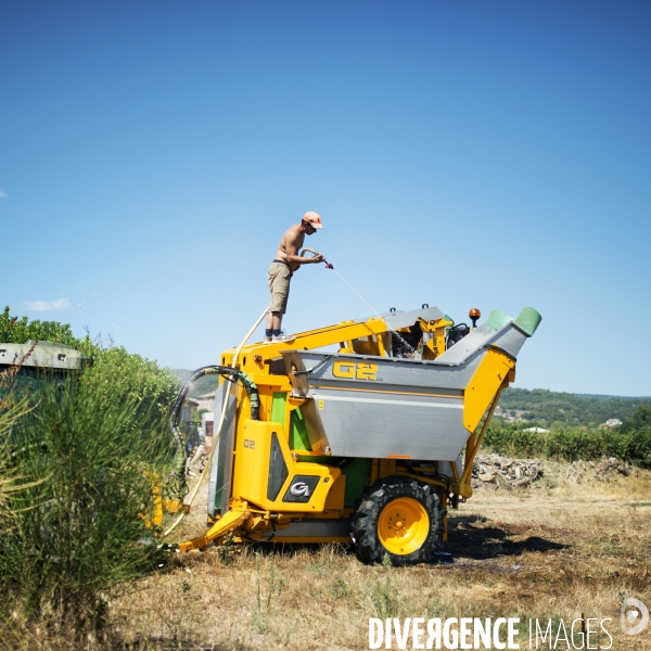 La vigne en biodynamie