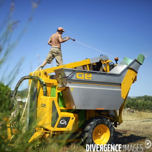 La vigne en biodynamie