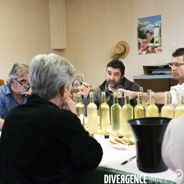 La vigne en biodynamie