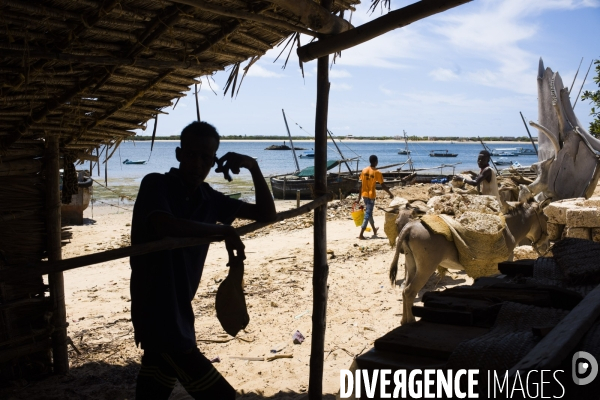 Ile de lamu, kenya