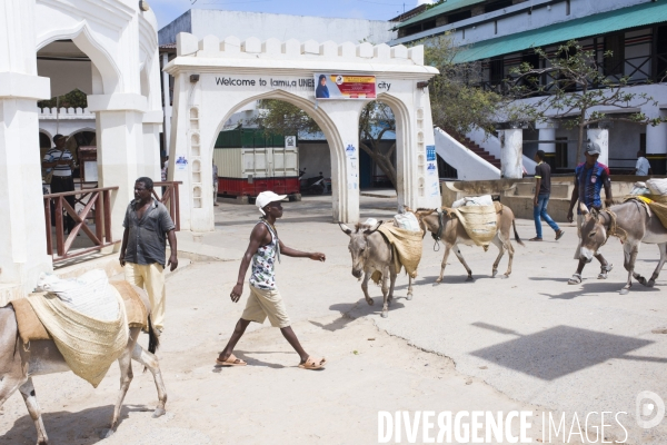 Ile de lamu, kenya