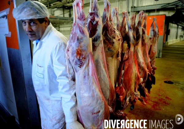 Fête de l Aïd El Kebir