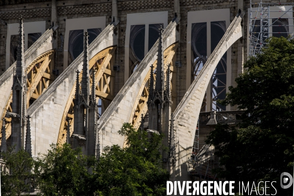 Notre-Dame de Paris 3 mois après l incendie.